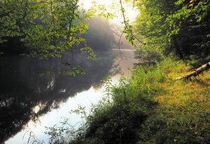 Idylle pur! Im Nationalpark Thayatal kann man die Seele baumeln lassen und Kraft tanken. (c) Nationalpark Thayatal