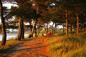 Fit mach mit - Wellnesswandern für ein gesundes Älterwerden 2 (c) Pixabay.com