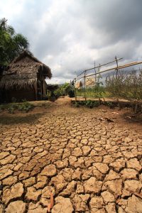 8 von 10 Kekse im Handel enthalten problematisches Palmöl 2 (c) Global 2000