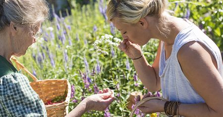 Urlaub in der Wildkräuter-Schule (c) Wanderhotels, Franz Gerdl