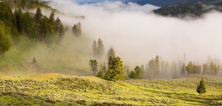 Fit mach mit – Wellnesswandern für ein gesundes Älterwerden (c) Pixabay.com