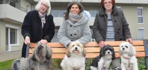 Mit Hund und Katz ins Senioren-Wohnheim – geht das überhaupt? (c) Johanniter