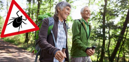 Zecken überleben den strengen Winter ohne Probleme (c) www.zecken.de