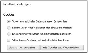 Screenshot zur Einstellung der Speicheroptionen von Cookies. (c) Screenshot