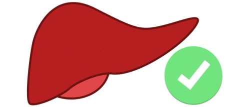 Gesunde Leber – Tipps, was sie dafür tun können! (c) Pixabay.com