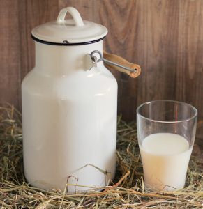 Ein Glas Milch neben einer Milchkanne, Stichwort Milchprodukte. (c) Pixabay.com