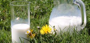 Milchprodukte als heimliche Zuckerfallen – 1200 Produkte im Test (c) Pixabay.com