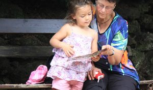 Eine ältere Frau schaut sich mit einem Kind ein Buch an, Stichwort Gedächtnis trainieren. (c) Pixabay.com