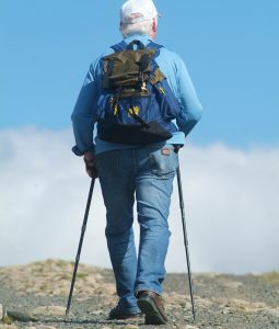 Ein Mann von hinten beim Nordic Walking. (c) Pixabay.com