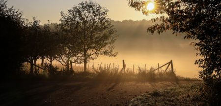 Fit und gesund durch den nasskalten Herbst (c) Pixabay.com