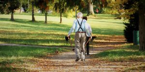 Ein Mann beim Spazierengehen in einem Park, Stichwort Muskelabbau im Alter. (c) Pixabay.com