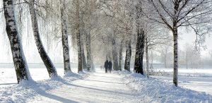 Tipps gegen das Frieren – so halten Sie sich auch bei Eiseskälte warm 1 Ein Paar auf einem tief verschneiten Winterweg, Stichwort frieren. (c) Pixabay.com