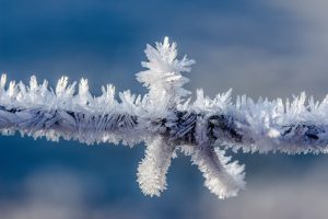 Ein vereister Ast mit Eiskristallen, Stichwort Kälte. (c) Pixabay.com