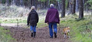 Ein Mann mit Hund und eine Frau beim Spazierengehen, Stichwort 10.000 Schritte. (c) Pixabay.com