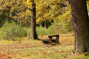 Meditation, oder wie sie entspannt zur inneren Ruhe kommen 2 (c) Pixabay.com
