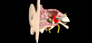 Ratgeber: So entfernen sie das „Schmalz in den Ohren“ richtig (c) Pixabay.com