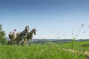 (c) Oberösterreich Tourismus GmbH/ Erber