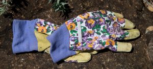 Pflege- und Betreuungszentren setzen (auch) auf Gartentherapie 1 Ein Gartenhandschuh auf der Erde, Stichwort Gartentherapie. (c) Pixabay.com