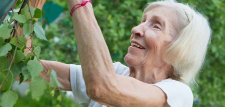 Pflege- und Betreuungszentren setzen (auch) auf Gartentherapie (c) Pixabay.com