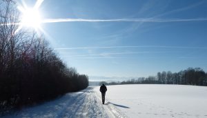 Eine Person, die durch eine sonnige Winterlandschaft spaziert, Stichwort Vitamin D. (c) Pixabay.com