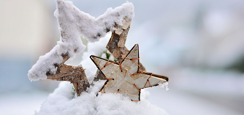 Weihnachten – zwei Weihnachtssterne im Schnee. (c) Pixabay.com