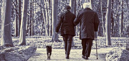 Ein Mann und eine Frau beim Spazierengehen mit einem Hund. (c) Pixabay.com
