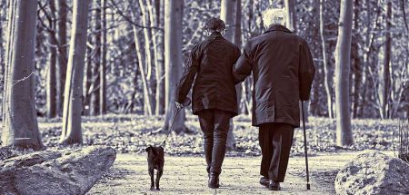 Mehr Bewegung in der Pflege – gut und wichtig für beide Seiten Ein Mann und eine Frau beim Spazierengehen mit einem Hund. (c) Pixabay.com