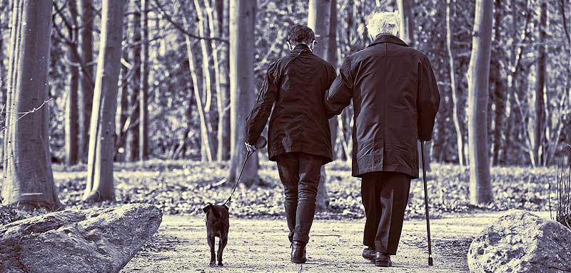 Ein Mann und eine Frau beim Spazierengehen mit einem Hund. (c) Pixabay.com