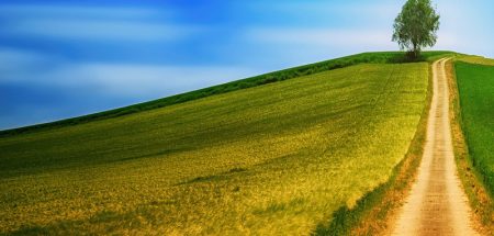 Wege aus der Einsamkeit – damit das Alleinsein nicht krankt macht Ein Feldweg, der Richtung Horizont zu einem Hügel mit einem Baum führt. ( c) Pixabay.com