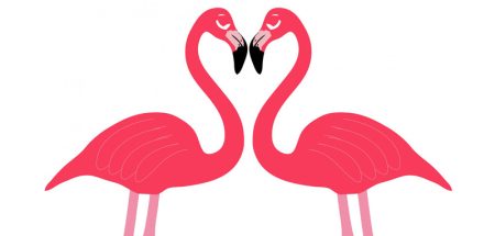 Zwei Flamingos, die sich gegenüberstehen und mit ihren Hälsen ein Herz bilden. (c) Gleichklang Limited
