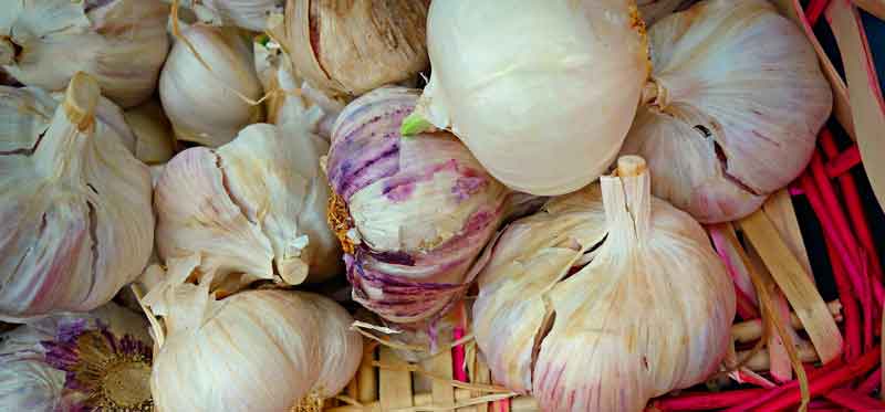 Mundgeruch: lästig, unangenehm, peinlich und was dagegen hilft 1 Ist man Knoblauch, hat man Mundgeruch. (c) Pixabay.com