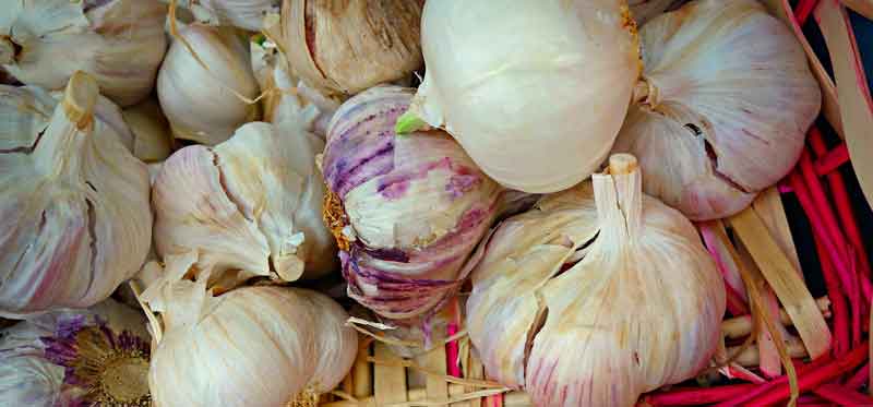 Ist man Knoblauch, hat man Mundgeruch. (c) Pixabay.com