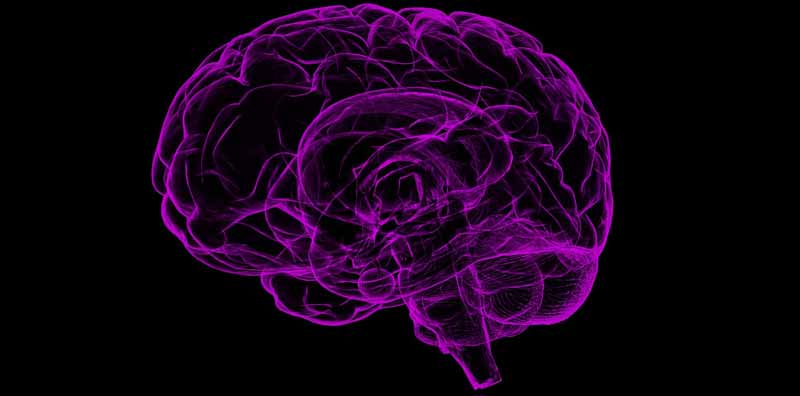 Eine Gesunde Lebensweise kann Risiken für Alzheimer verringern 2 Illustration eines menschlichen Gehirns. (c) Pixabay.com