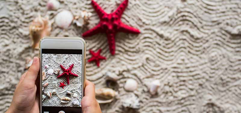 WLAN im Urlaub – so sind sie auch unterwegs online und erreichbar 2 Der Screen eines Smartphones beim Fotografieren von Seesternen. (c) Pixabay.com