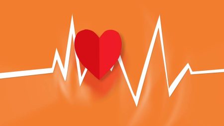 Gesundheitsstudie: Österreicher möchten mehr für Gesundheit tun EKG-Linien mit einem roten Herz darüber. (c) Pixabay.com