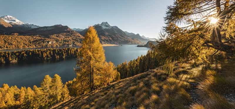 Fünf unvergessliche Wanderungen durch die herbstliche Schweiz 1 Goldiger Herbst über dem Silsersee mit seinen Lärchenwäldern. (c) Switzerland Tourism/ Andreas Gerth