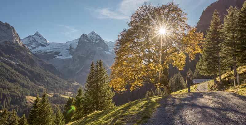 Fünf unvergessliche Wanderungen durch die herbstliche Schweiz 2 Wanderung auf der Rosenlaui, Berner Oberland. (c) Switzerland Tourism/ Jan Geerk