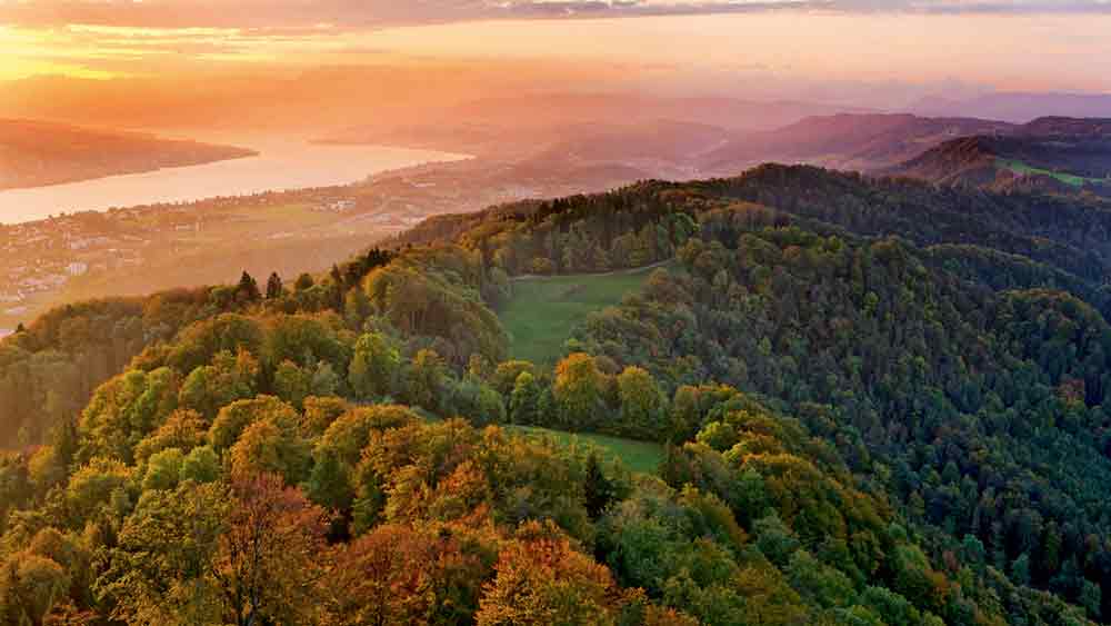 Sonnenaufgang auf dem Uetliberg. Aussicht auf den Albis mit dem Wildnispark Zürich-Sihlwald. Im Hintergrund der Zürichsee. (c) Switzerland Tourism/ Christof Sonderegger