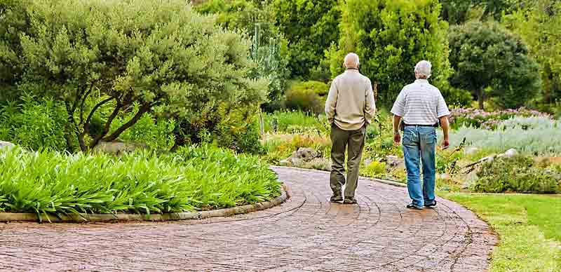 Studie über unsere Nachbarschaft – lieben oder hassen wir sie? 1 Zwei ältere Männer aus der Nachbarschaft gehen nebeneinander und plaudern. (c) Pixabay.com