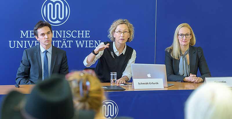 Andreas Pollreisz, Klinikleiterin Ursula Schmidt-Erfurth und Bianca Gerendas von der Universitätsklinik für Augenheilkunde und Optometrie der MedUni Wien und des AKH Wien. (c) MedUni Wien/ Marko Kovic