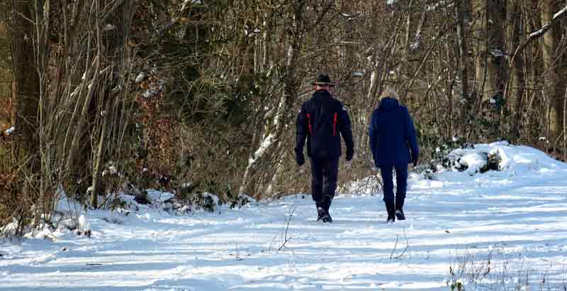 Zwei Spaziergänger auf einem winterlichen Weg am Waldrand. (c) Pixabay.com