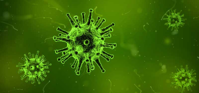 Grippevirus durchs Mikroskop. (c) Pixabay.com
