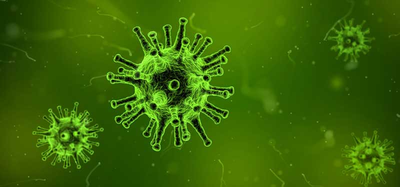 Schutz vor Grippe – damit die Winterzeit NICHT zur Grippezeit wird 1 Grippevirus durchs Mikroskop. (c) Pixabay.com