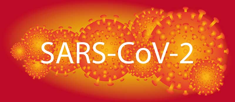Coronavirus SARS-CoV 19. (c) Pixabay.com