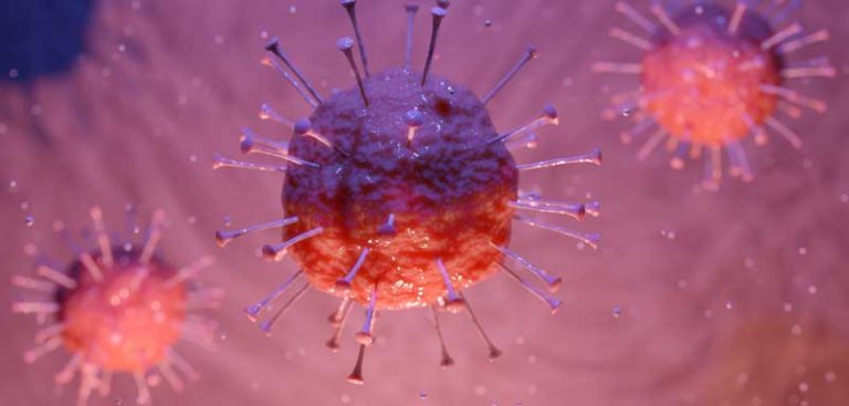 Coronavirus unter dem Mikroskop. (c) Pixabay.com