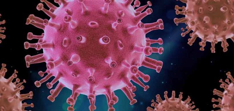 Coronaviren unter dem Mikroskop. (c) Pixabay.com