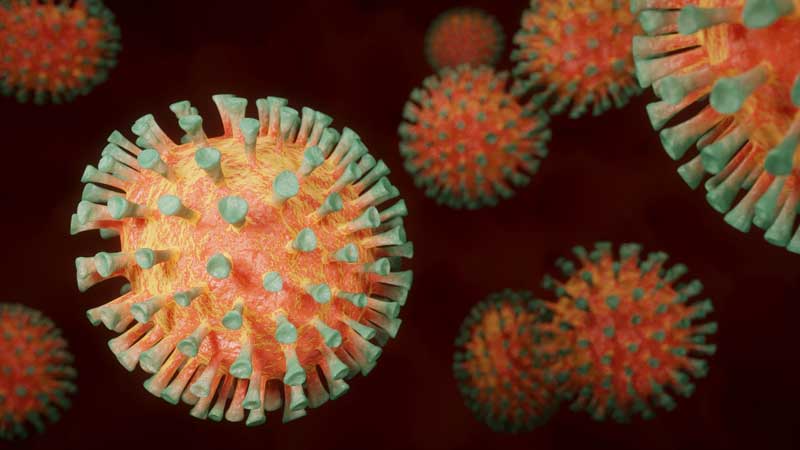 Coronaviren unter dem Mikroskop, Stichwort Corona-Krise.
(c) Pixabay.com