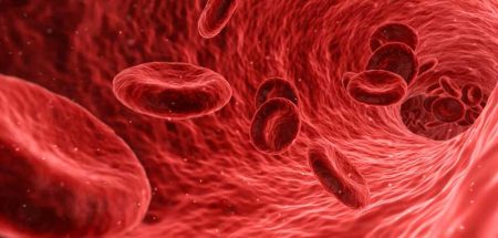 Rote Blutkörperchen unter dem Mikroskop. (c) Pixabay.com