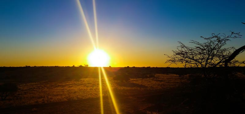 Ein Sonnenaufgang über der Wildnis von Namibia.
(c) Pixabay.com