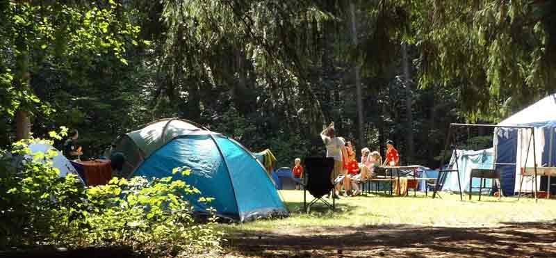 Sicher campen – so schützen sie sich vor Unwetter und Einbruch 2 Ein Campingplatz im Wald.
(c) Pixabay.com